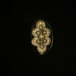 Image du produit suivant